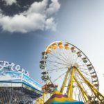 pexels-photo-247184 (1)