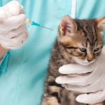 AdobeStock_56465895-1600x1600