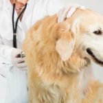 AdobeStock_74800908-1600x1600 (1)